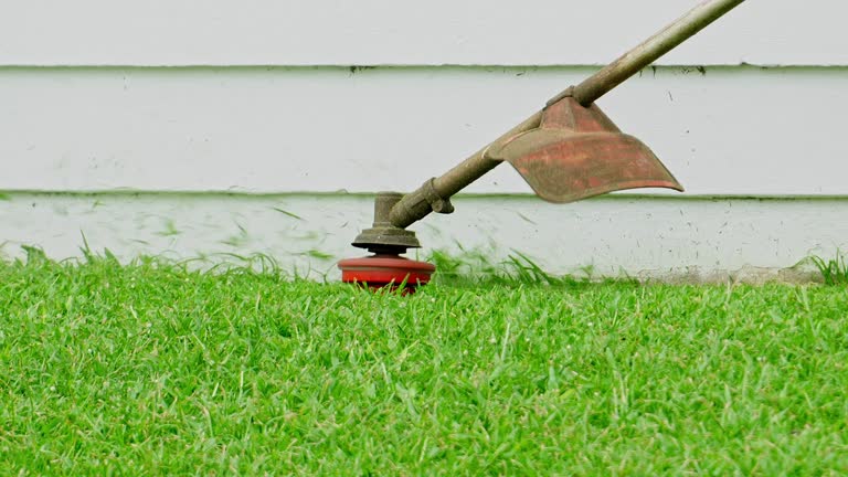 Lawn Watering Services in Champlin, MN